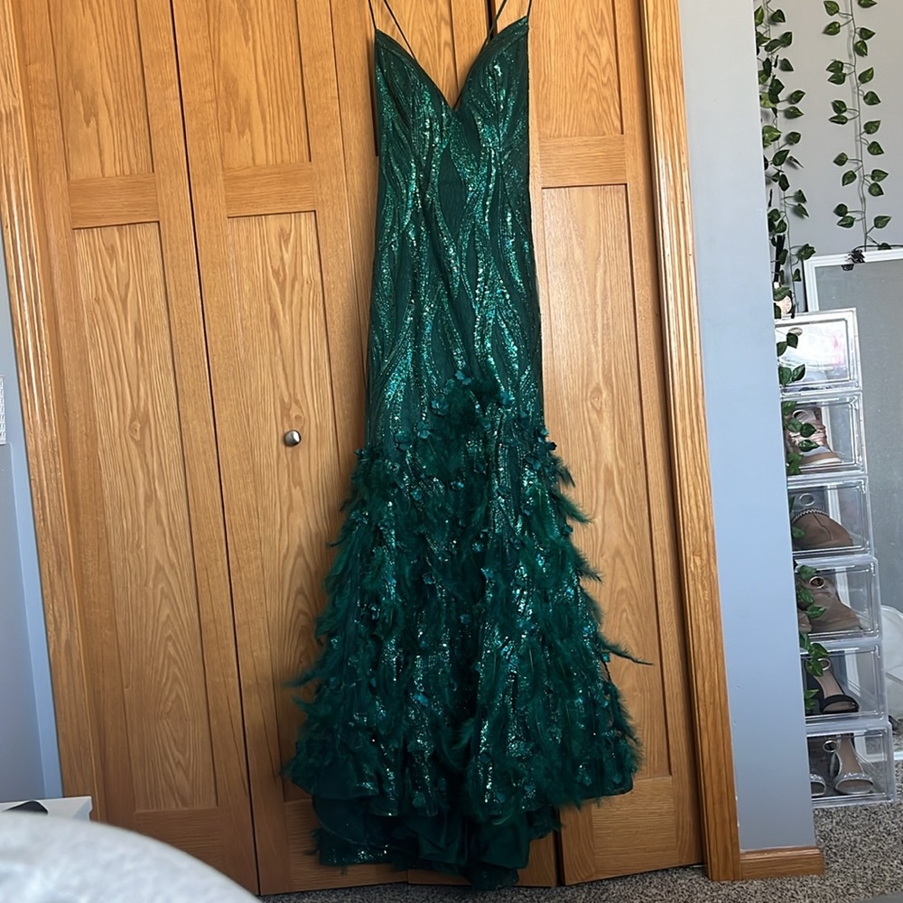 Prom Dress - Picture 3 of 3